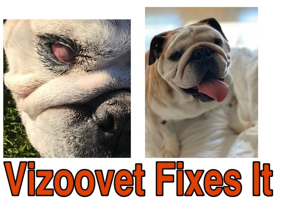 VIZOOVET PROTECT™ Eye Drops with Hyaluron (HA) 10ml Standard bottles