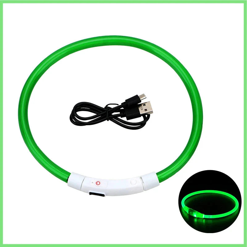 USB Rechargeable LED Glowing Dog Collar – Adjustable Night Safety