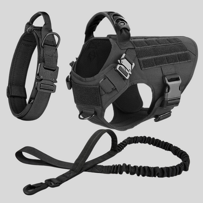 Large Dog Harness & Leash Set – Training Vest for Big Breeds