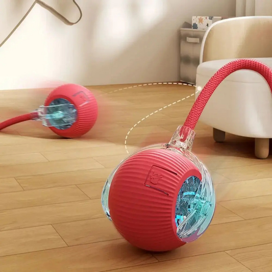 Interactive Cat Ball Toy Smart Automatic Rolling Ball for Active Indoor Cats