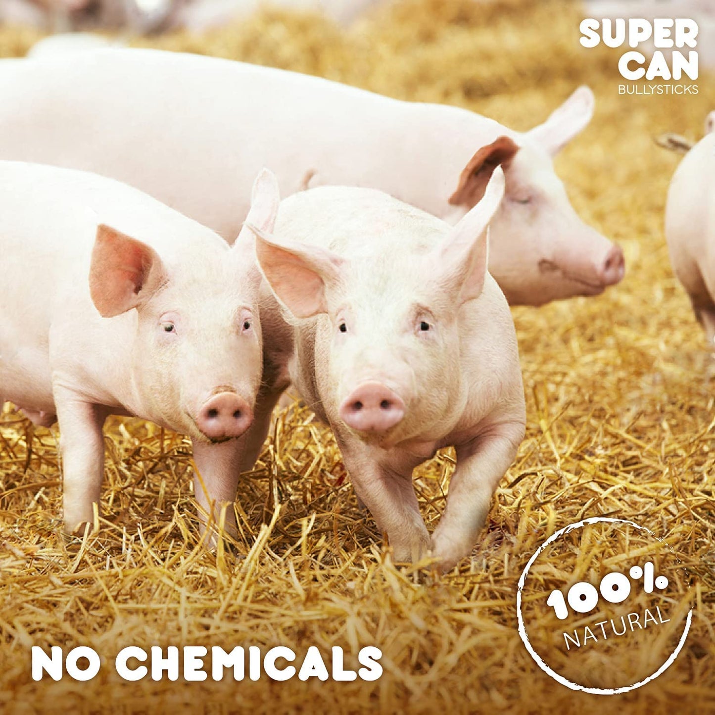 Porky Lung Fillets 12 oz