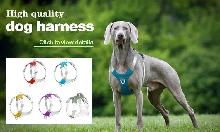 2-in-1 Pet Bath Brush – Soft Silicone Dog Cat Grooming & Massage Comb