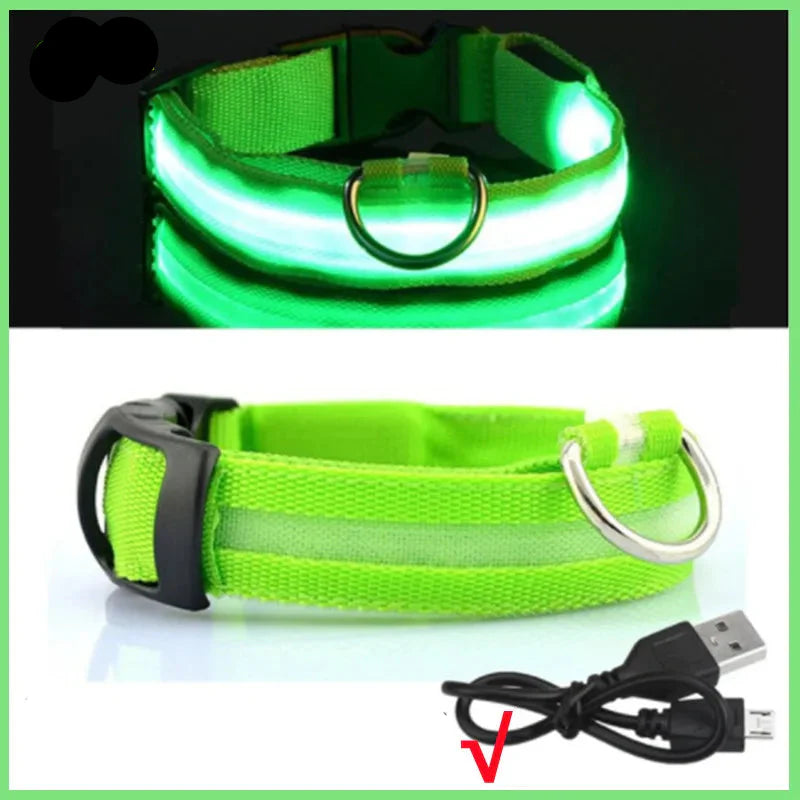 USB Rechargeable LED Glowing Dog Collar – Adjustable Night Safety