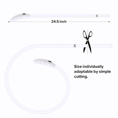 USB Rechargeable LED Glowing Dog Collar – Adjustable Night Safety