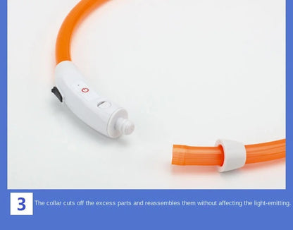 USB Rechargeable LED Glowing Dog Collar – Adjustable Night Safety