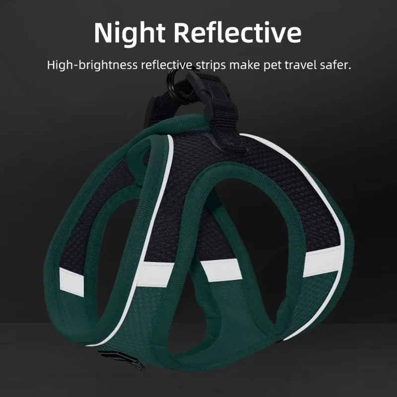 Adjustable Dog Harness & Leash Set for Small Dogs – Comfortable & Safe Walking Gear