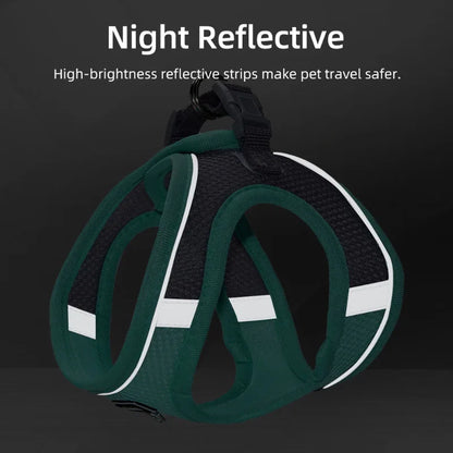 Adjustable Dog Harness & Leash Set for Small Dogs – Comfortable & Safe Walking Gear