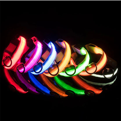 USB Rechargeable LED Glowing Dog Collar – Adjustable Night Safety