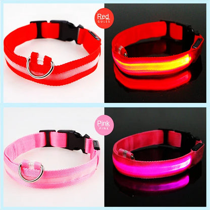 USB Rechargeable LED Glowing Dog Collar – Adjustable Night Safety
