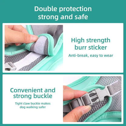 Adjustable Dog Harness & Leash Set for Small Dogs – Comfortable & Safe Walking Gear