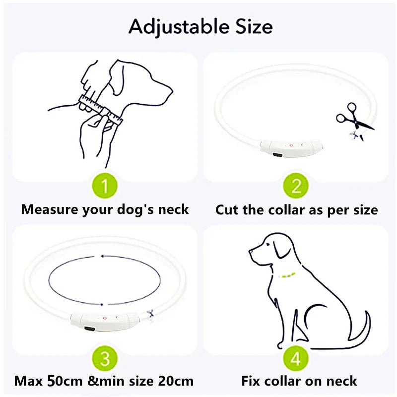 USB Rechargeable LED Glowing Dog Collar – Adjustable Night Safety