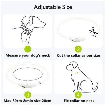 USB Rechargeable LED Glowing Dog Collar – Adjustable Night Safety