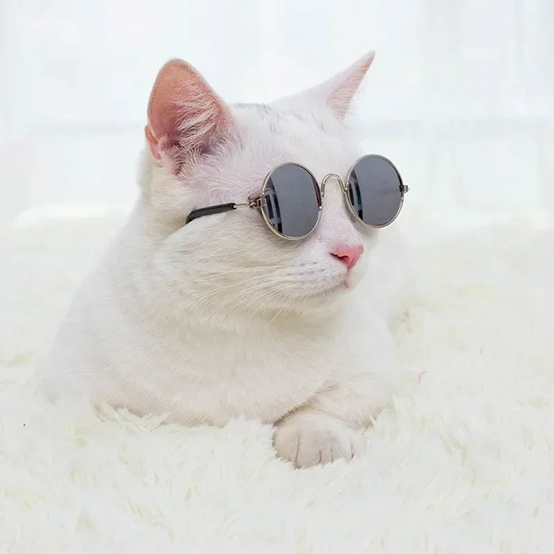 Cat & Dog Sunglasses – UV Protection Pet Photo Props