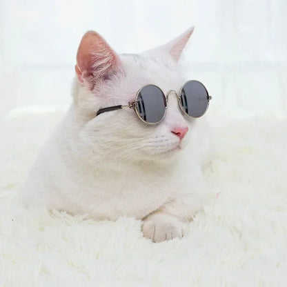 Cat & Dog Sunglasses – UV Protection Pet Photo Props