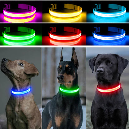 USB Rechargeable LED Glowing Dog Collar – Adjustable Night Safety