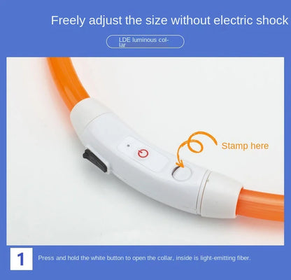 USB Rechargeable LED Glowing Dog Collar – Adjustable Night Safety