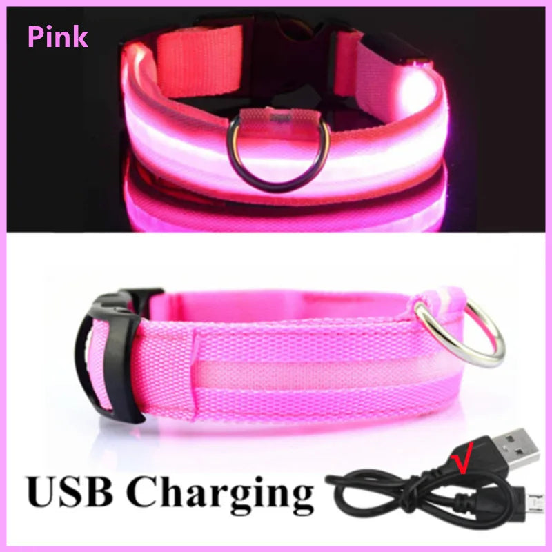 USB Rechargeable LED Glowing Dog Collar – Adjustable Night Safety
