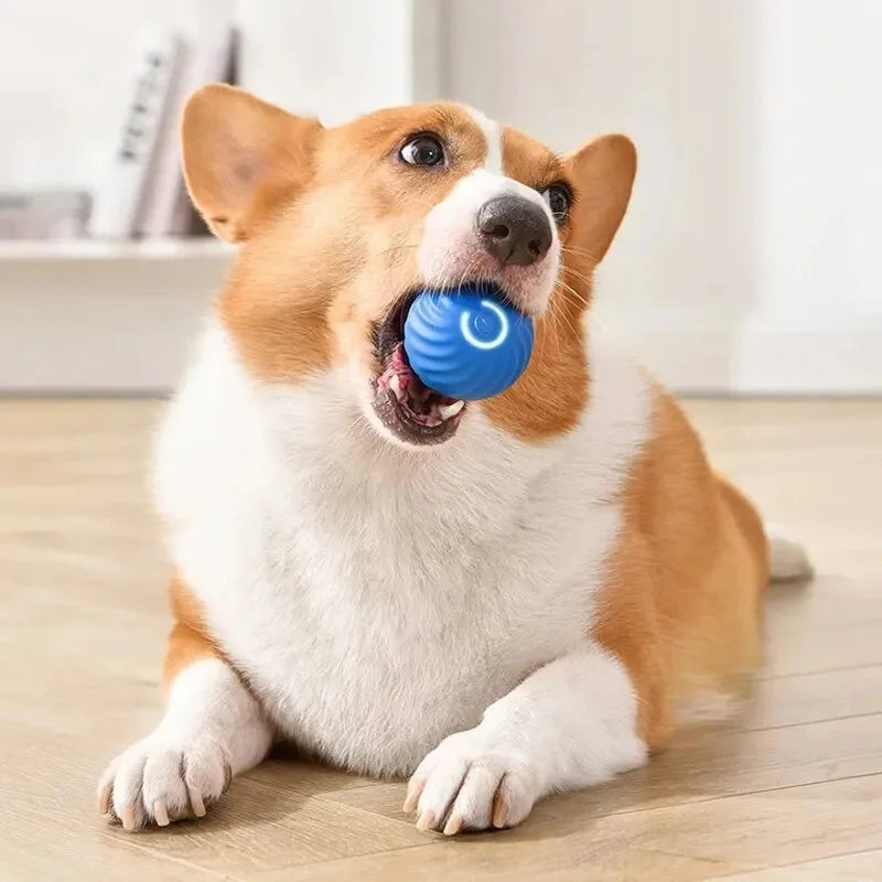 Smart Dog Toy Ball – USB Auto Bouncing Pet Toy for Dogs