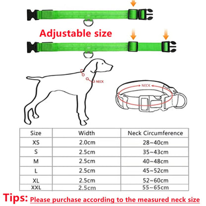 USB Rechargeable LED Glowing Dog Collar – Adjustable Night Safety