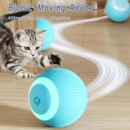 Smart Dog Toy Ball – USB Auto Bouncing Pet Toy for Dogs