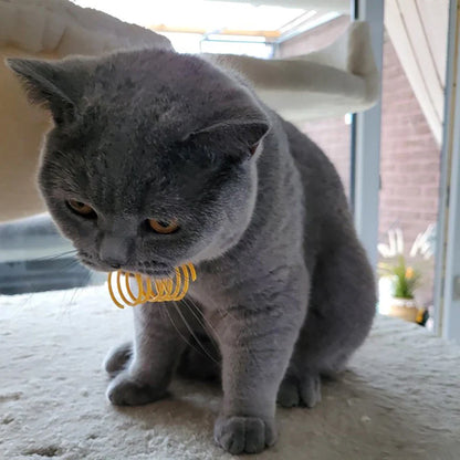 Colorful Cat Spring Toys – Durable Coil Play for Kittens